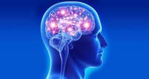 Beyin ve Omurilik Hastalıklarından Kurtulmanın Güvenli Yolu