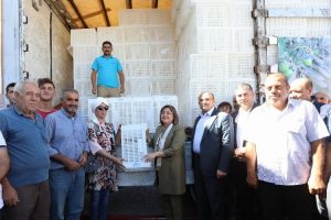 Gaziantep’te zeytin üreticilerine 40 bin adet hasat kasası